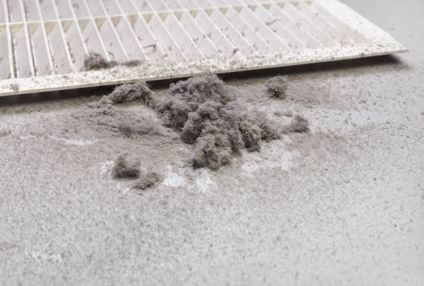 Best Ductwork Cleaning Services  in Mayville, ND