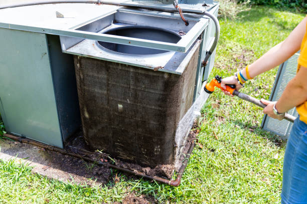 Best Dryer Vent Cleaning Services  in Mayville, ND