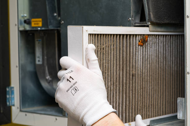 Best HVAC Maintenance and Cleaning  in Mayville, ND