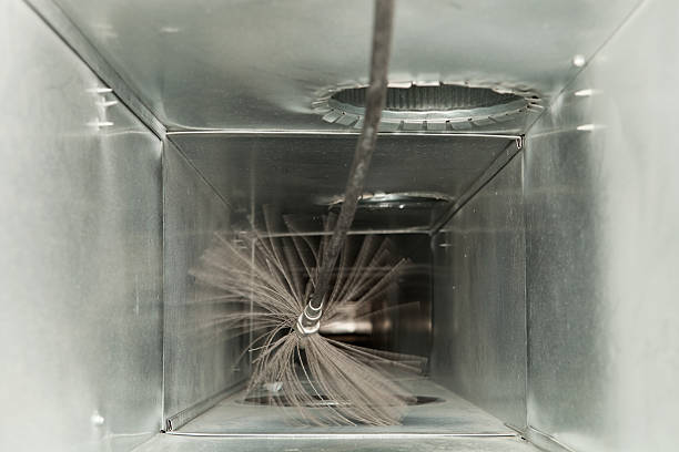 Best Air Vent Cleaning Services  in Mayville, ND
