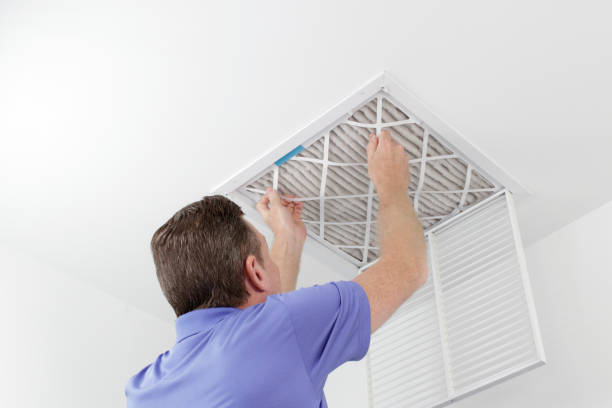 Best Home Air Vent Cleaning  in Mayville, ND
